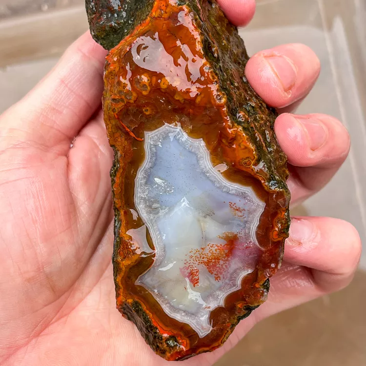 agate-morocco-rough-lapidary-specimen (50) (Copy).webp