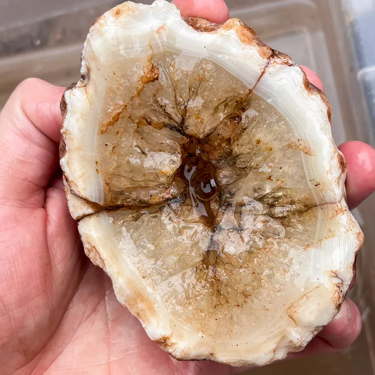 agate-morocco-rough-lapidary-specimen (51) (Copy).webp
