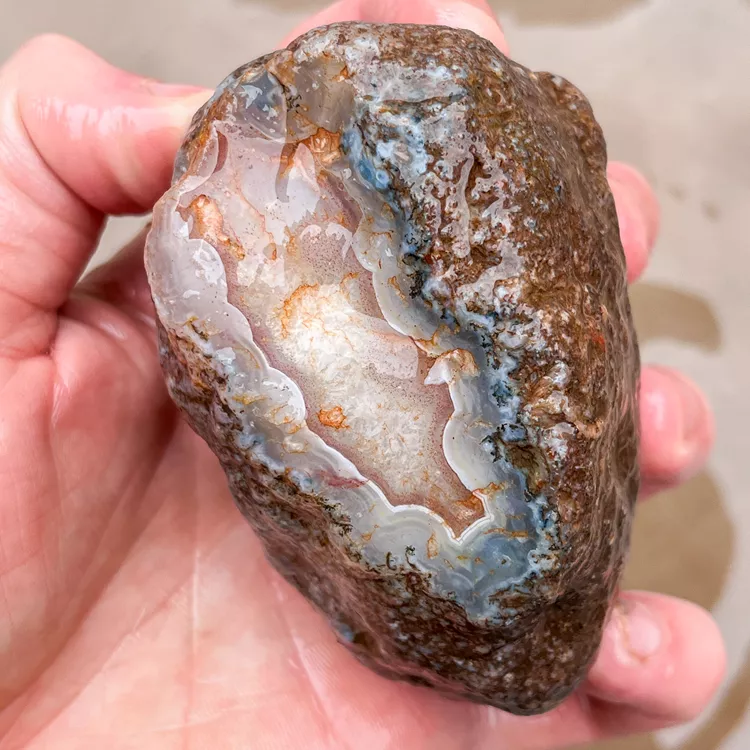 agate-morocco-rough-lapidary-specimen (52) (Copy).webp