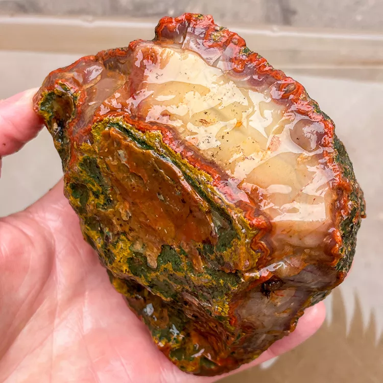 agate-morocco-rough-lapidary-specimen (53) (Copy).webp