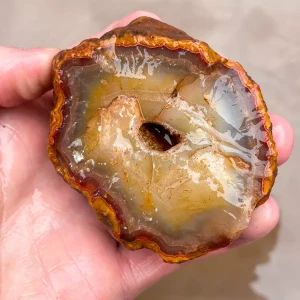 agate-morocco-rough-lapidary-specimen (56) (Copy).webp