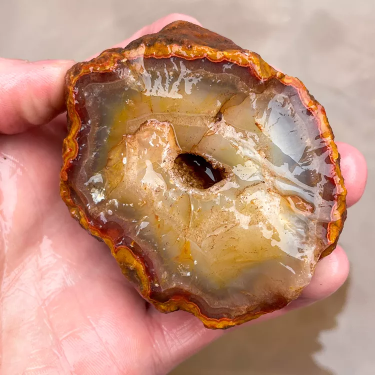 agate-morocco-rough-lapidary-specimen (56) (Copy).webp