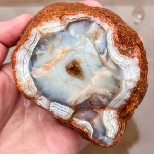 agate-morocco-rough-lapidary-specimen (57) (Copy).webp