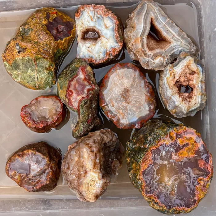 agate-morocco-rough-lapidary-specimen (36) (Copy).webp