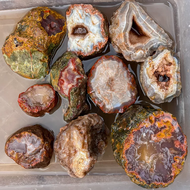 agate-morocco-rough-lapidary-specimen (36) (Copy).webp