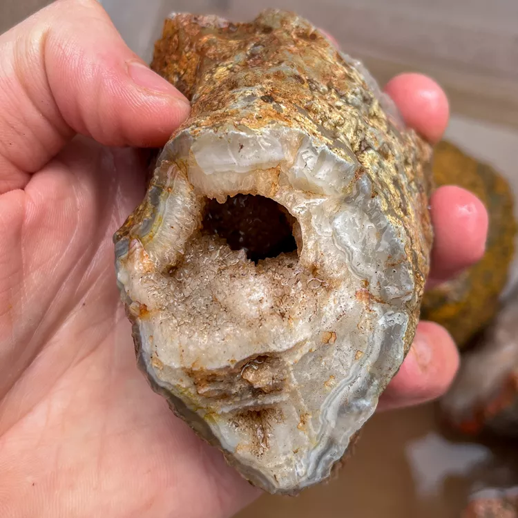 agate-morocco-rough-lapidary-specimen (38) (Copy).webp