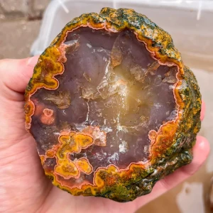 agate-morocco-rough-lapidary-specimen (39) (Copy).webp