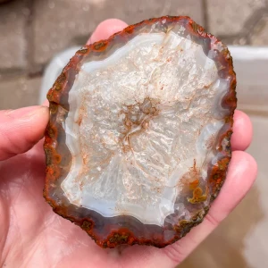 agate-morocco-rough-lapidary-specimen (41) (Copy).webp