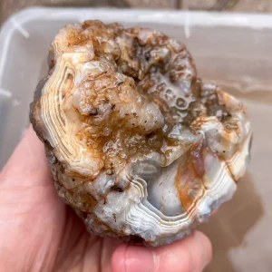 agate-morocco-rough-lapidary-specimen (42) (Copy).webp