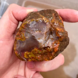 agate-morocco-rough-lapidary-specimen (43) (Copy).webp
