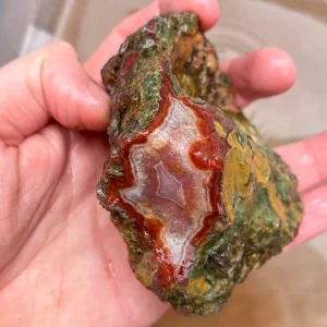agate-morocco-rough-lapidary-specimen (45) (Copy).webp