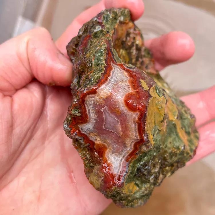 agate-morocco-rough-lapidary-specimen (45) (Copy).webp