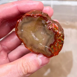 agate-morocco-rough-lapidary-specimen (46) (Copy).webp