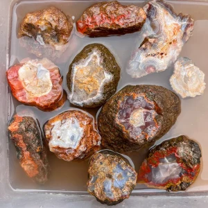 agate-morocco-rough-lapidary-specimen (24) (Copy).webp