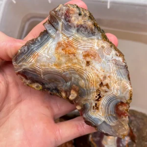 agate-morocco-rough-lapidary-specimen (27) (Copy).webp