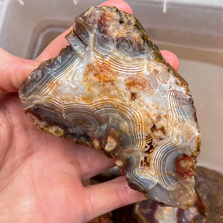agate-morocco-rough-lapidary-specimen (27) (Copy).webp