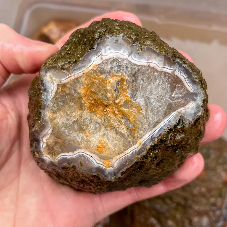 agate-morocco-rough-lapidary-specimen (28) (Copy).webp
