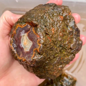 agate-morocco-rough-lapidary-specimen (29) (Copy).webp