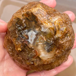 agate-morocco-rough-lapidary-specimen (30) (Copy).webp