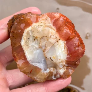 agate-morocco-rough-lapidary-specimen (31) (Copy).webp