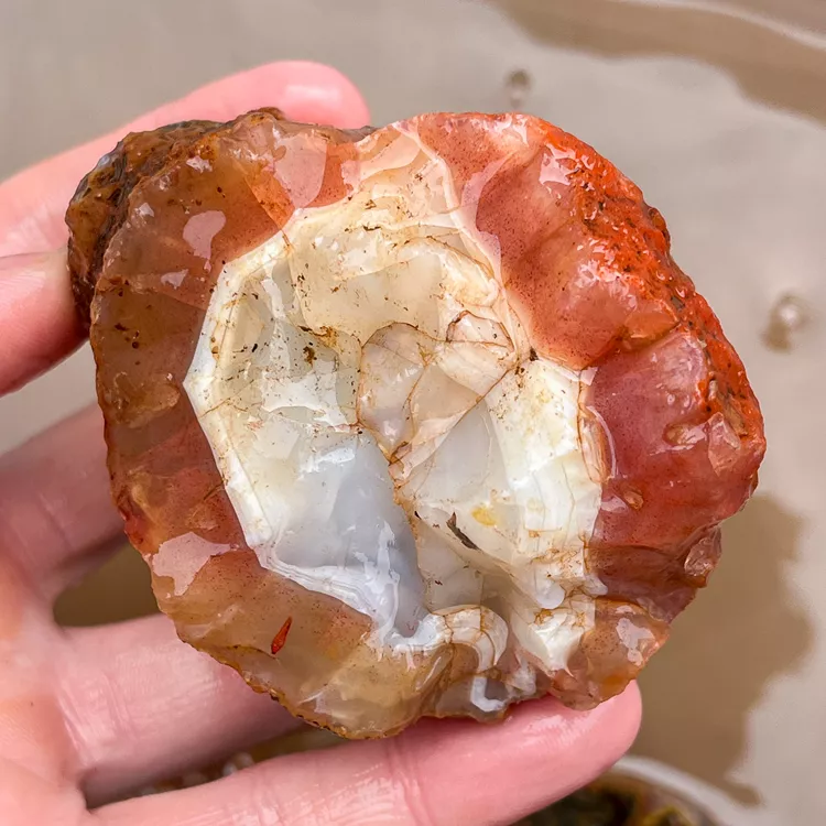 agate-morocco-rough-lapidary-specimen (31) (Copy).webp