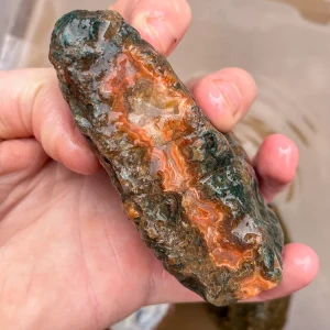agate-morocco-rough-lapidary-specimen (32) (Copy).webp