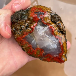 agate-morocco-rough-lapidary-specimen (35) (Copy).webp