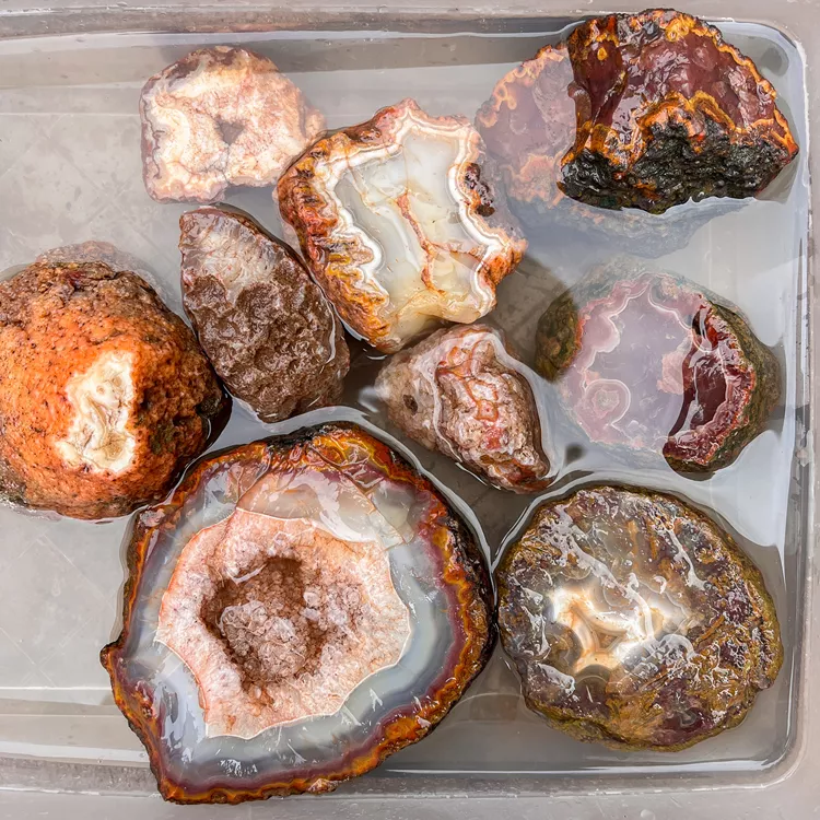 agate-morocco-rough-lapidary-specimen (14) (Copy).webp