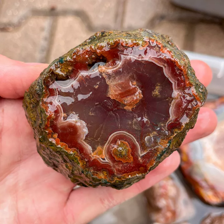 agate-morocco-rough-lapidary-specimen (15) (Copy).webp