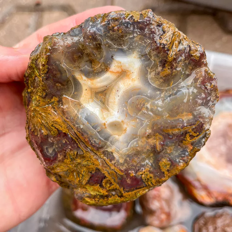 agate-morocco-rough-lapidary-specimen (16) (Copy).webp