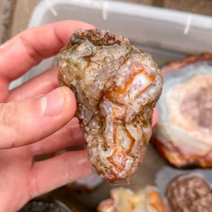 agate-morocco-rough-lapidary-specimen (17) (Copy).webp