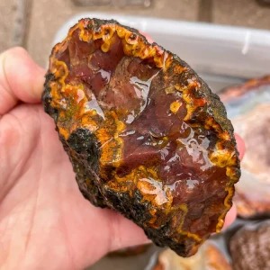agate-morocco-rough-lapidary-specimen (18) (Copy).webp