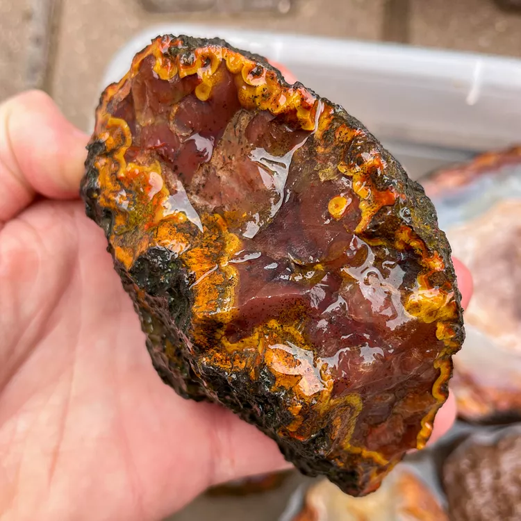 agate-morocco-rough-lapidary-specimen (18) (Copy).webp