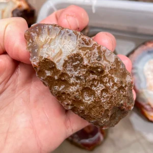 agate-morocco-rough-lapidary-specimen (20) (Copy).webp