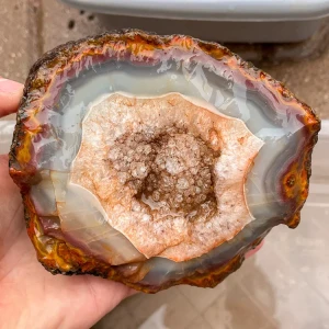 agate-morocco-rough-lapidary-specimen (22) (Copy).webp
