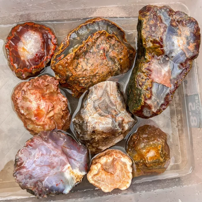 agate-morocco-rough-lapidary-specimen (1) (Copy).webp