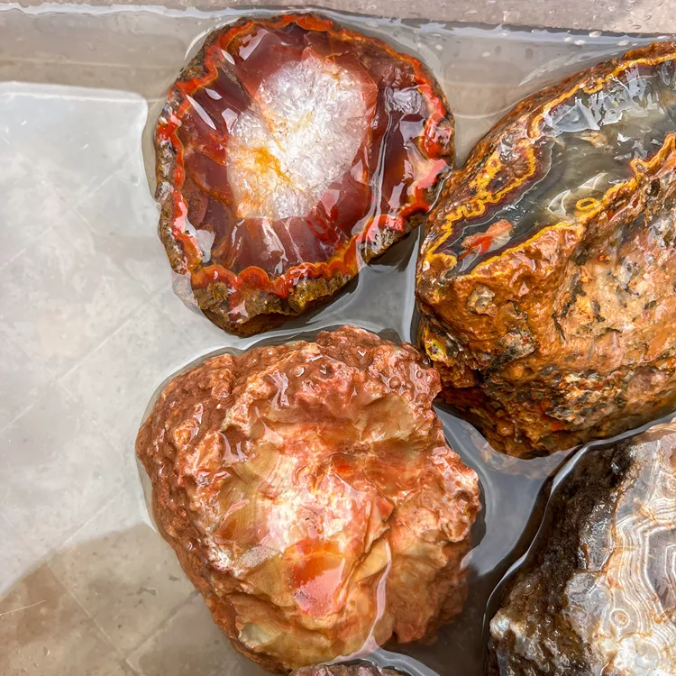 agate-morocco-rough-lapidary-specimen (4) (Copy).webp
