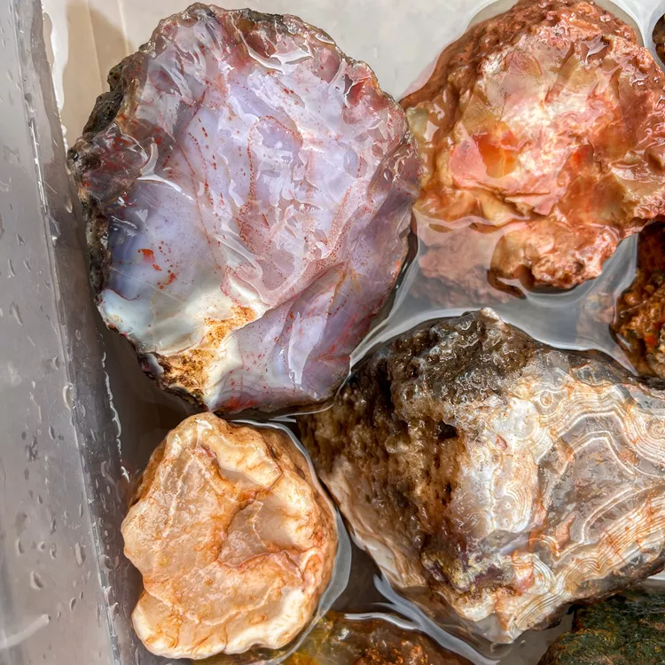 agate-morocco-rough-lapidary-specimen (5) (Copy).webp
