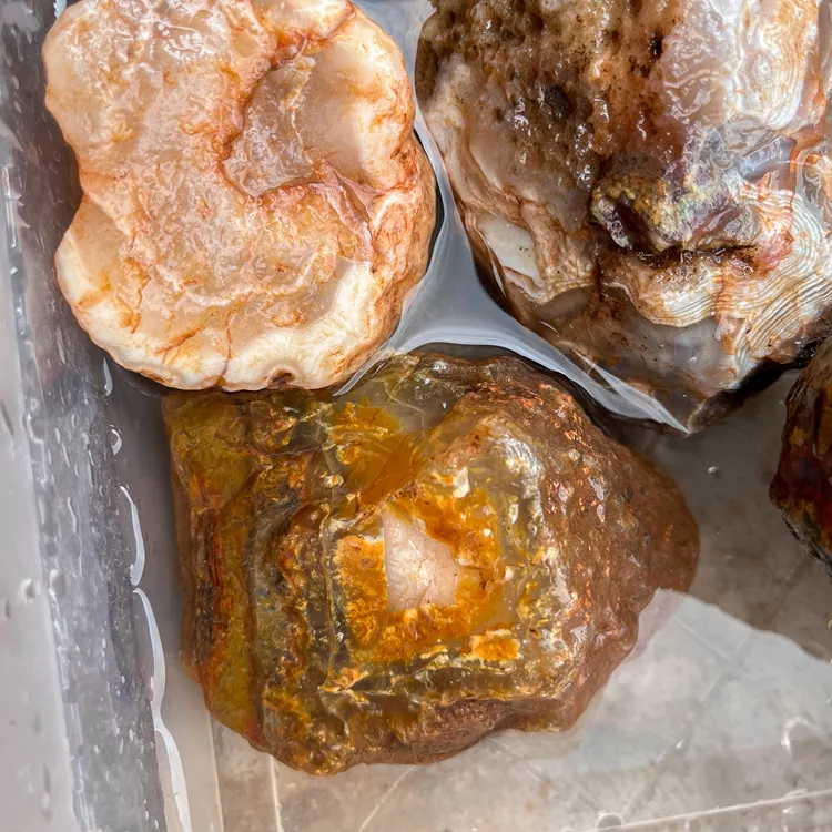 agate-morocco-rough-lapidary-specimen (6) (Copy).webp