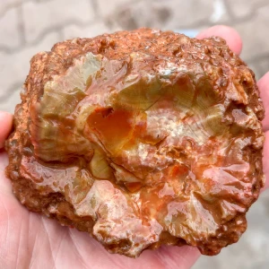 agate-morocco-rough-lapidary-specimen (7) (Copy).webp