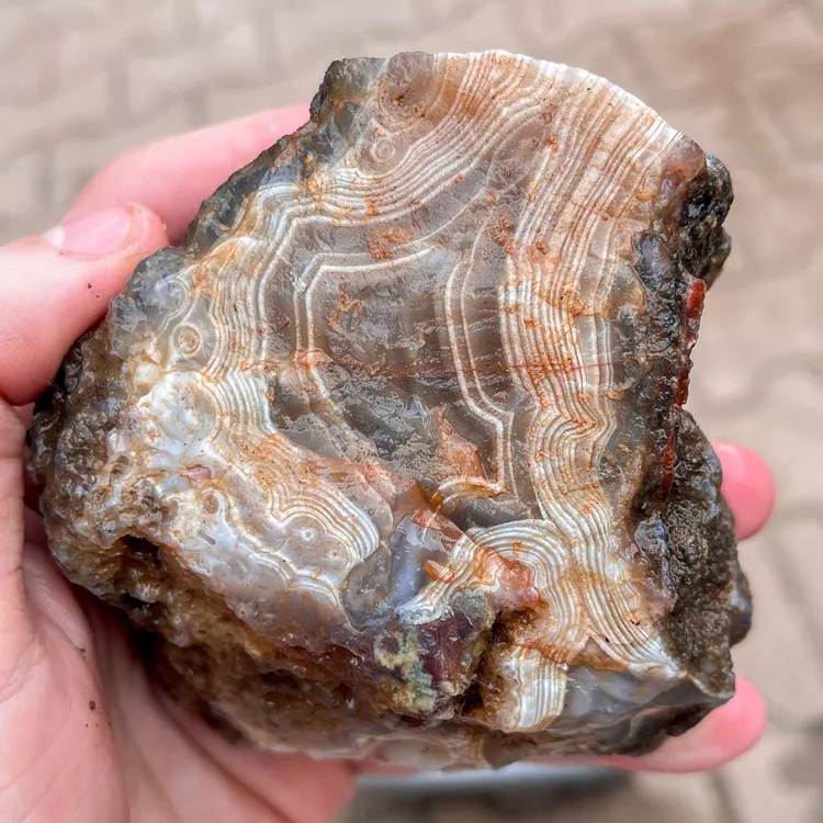 agate-morocco-rough-lapidary-specimen (9) (Copy).webp