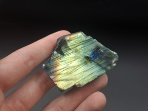20230910_164036.jpg