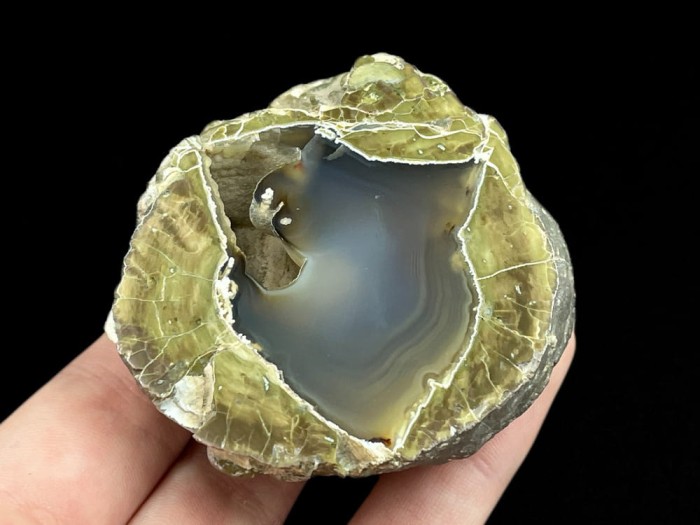 agat USA 9_1.jpg