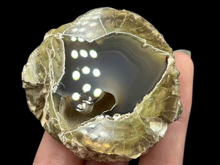 agat USA 9_2.jpg