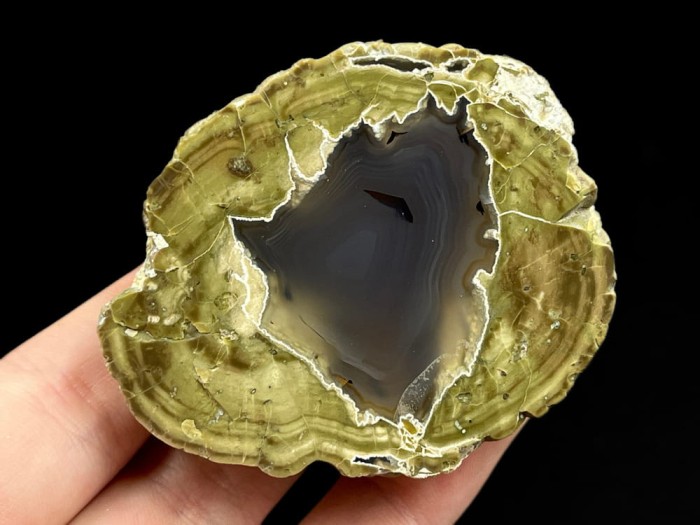 agat USA 10_2.jpg