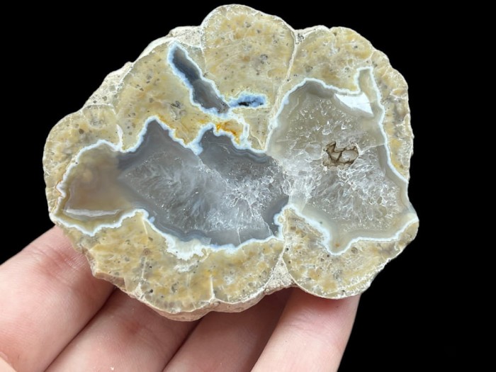agat usa 1_1 (2).jpg