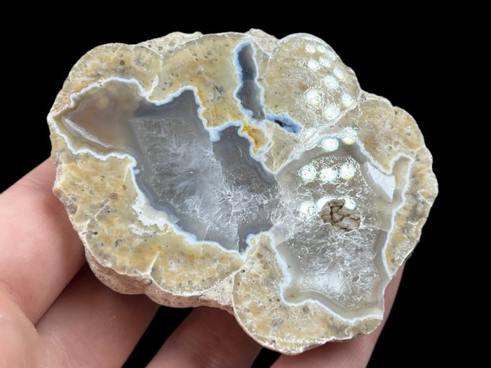 agat usa 1_3.jpg