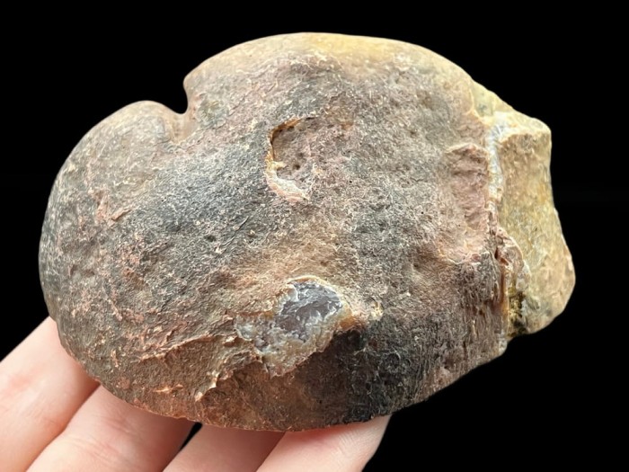agat brazylia 3_2.jpg