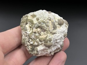 IMG_0767.JPG